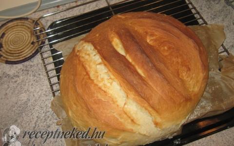 Küldte: Vadai Zsuzsa