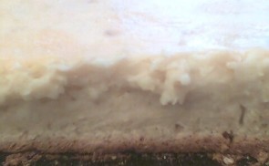 Krumplis pite