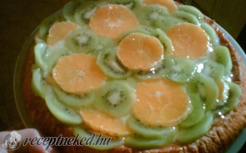 Gyümölcs torta
