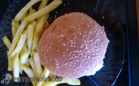 Hamburger hús