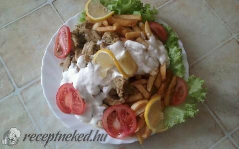 Gyros tál