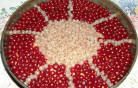 Túrós ribizli torta