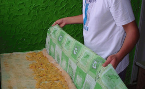 Birsalmás rétes
