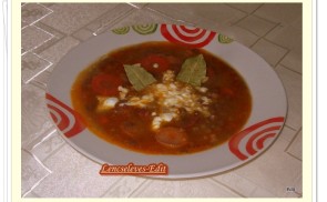 Lencseleves