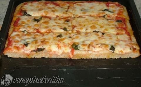 Tepsis pizza