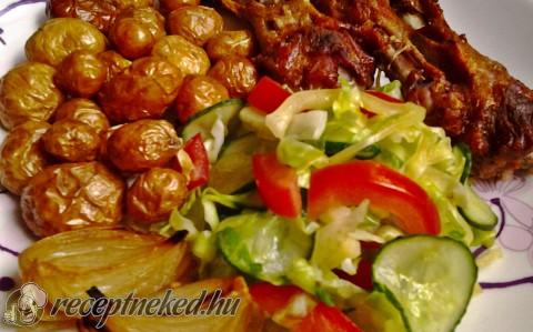 Chilis-mézes pecsenyekacsa szárnytő