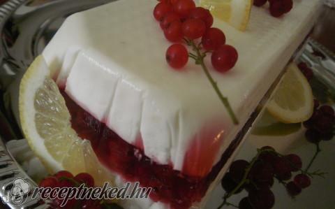 Ribizlis joghurtterrine