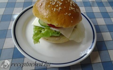 Hamburger
