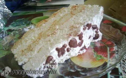 Őszibarackos túrókrém torta babapiskótával