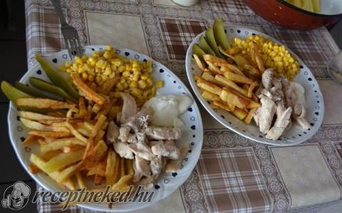 Gyros házilag