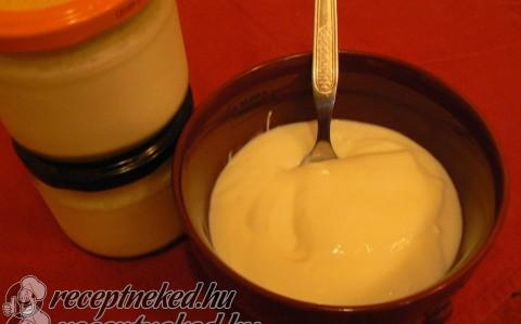 Joghurt házilag