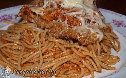 Bolognai borda
