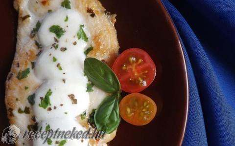 Grillezett petrezselymes-mozzarellás csirkemell