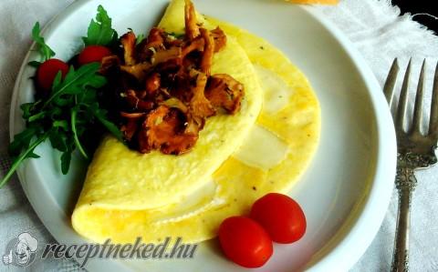 Omlett brie sajttal, rókagomba-raguval