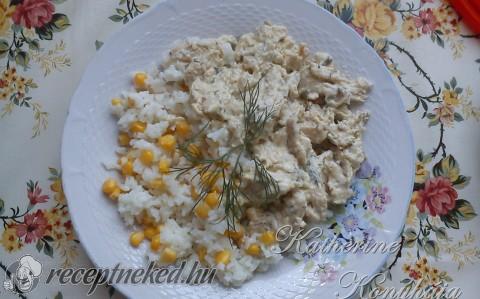 Kapros csirkemell ragu
