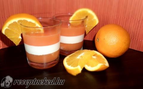 Grapefruitos tejpuding