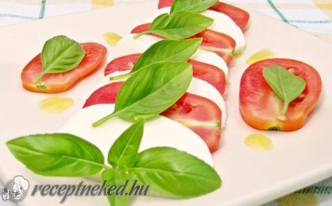 Insalata caprese  / panzanella