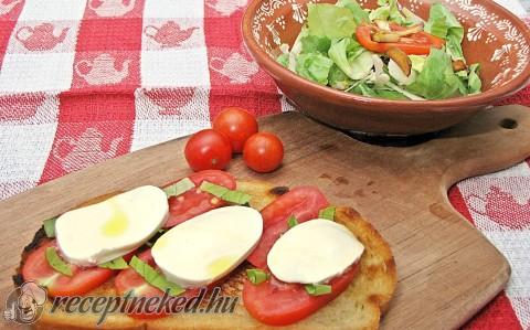 Insalata caprese  / panzanella