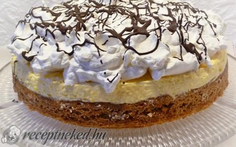 Fagyi szelet tortaformában