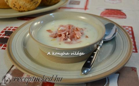 Kapros kefires burgonyafőzelék