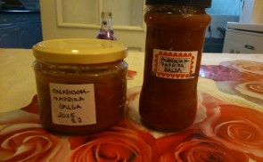 Paradicsom-paprika salsa