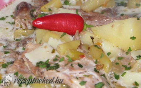 Palócleves kacsahúsból