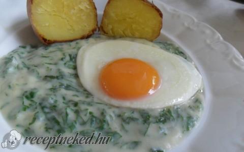 Csalánfőzelék