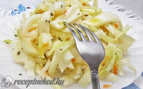 Cukormentes amerikai káposztasaláta (coleslaw saláta)