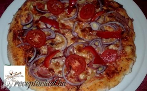 Gyors házi pizza