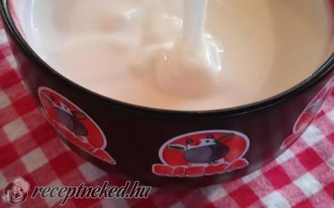 Házi joghurt