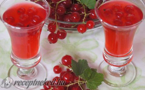 Fűszeres ribizli likőr