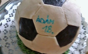 Focilabda torta