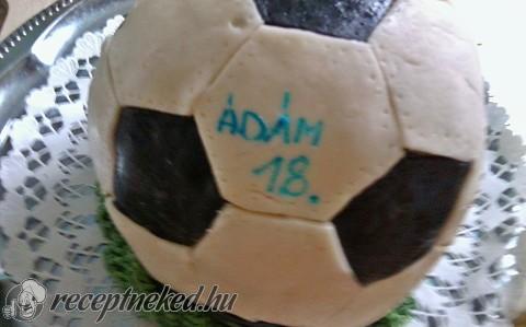 Focilabda torta