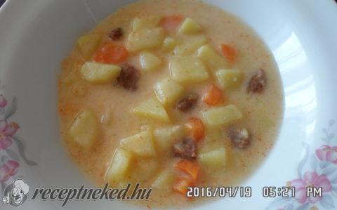 Savanyú burgonyaleves