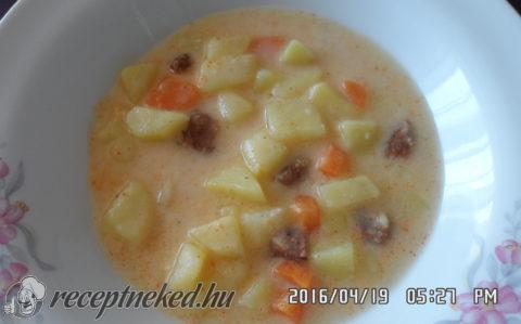 Savanyú burgonyaleves