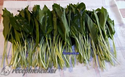Darált medvehagyma (pesto alap)