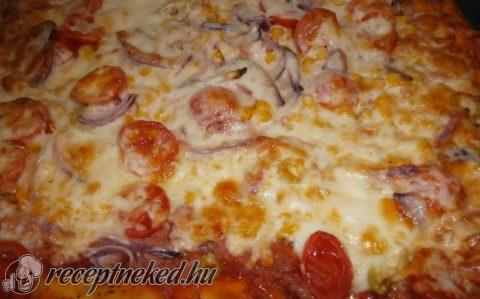 Szénhidrát csökkentett pizza