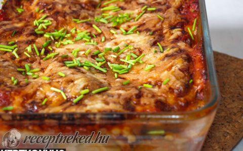 Vega lasagne