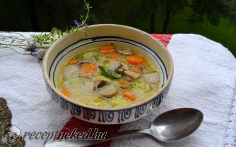 Vargányaleves