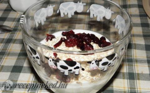 Házi joghurt zabpehellyel és aszalt áfonyával