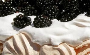 Pavlova