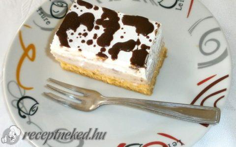 Tiramisu szelet