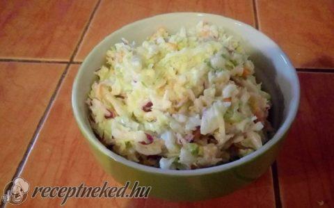 Coleslaw (Amerikai káposztasaláta)