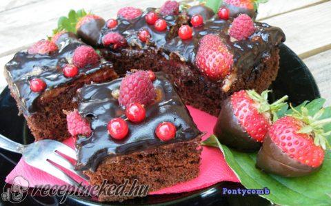 Csoki Artúr kedvence