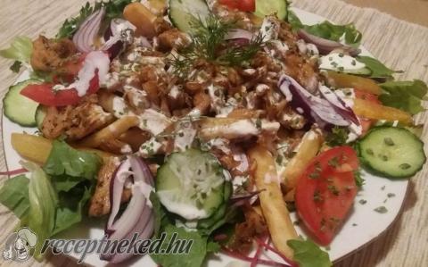 Gyros