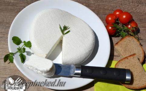 Kecskesajt házilag