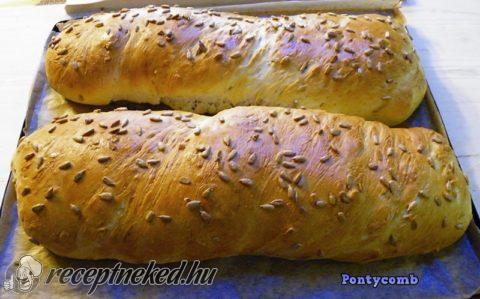 Napraforgómagos ciabatta