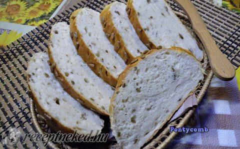 Napraforgómagos ciabatta