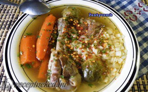 Kacsahúsleves
