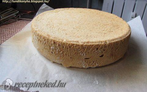 Piskóta tortalap